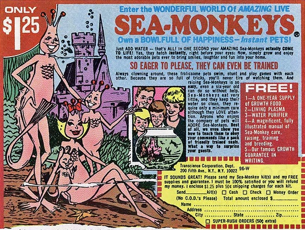 623px x 471px - Sea-Monkeys and X-Ray Spex: Collecting the Bizarre Stuff Sold in the Back  of Comic Books | Collectors Weekly