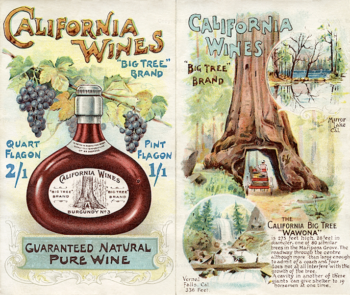 Californian wine clearance grape