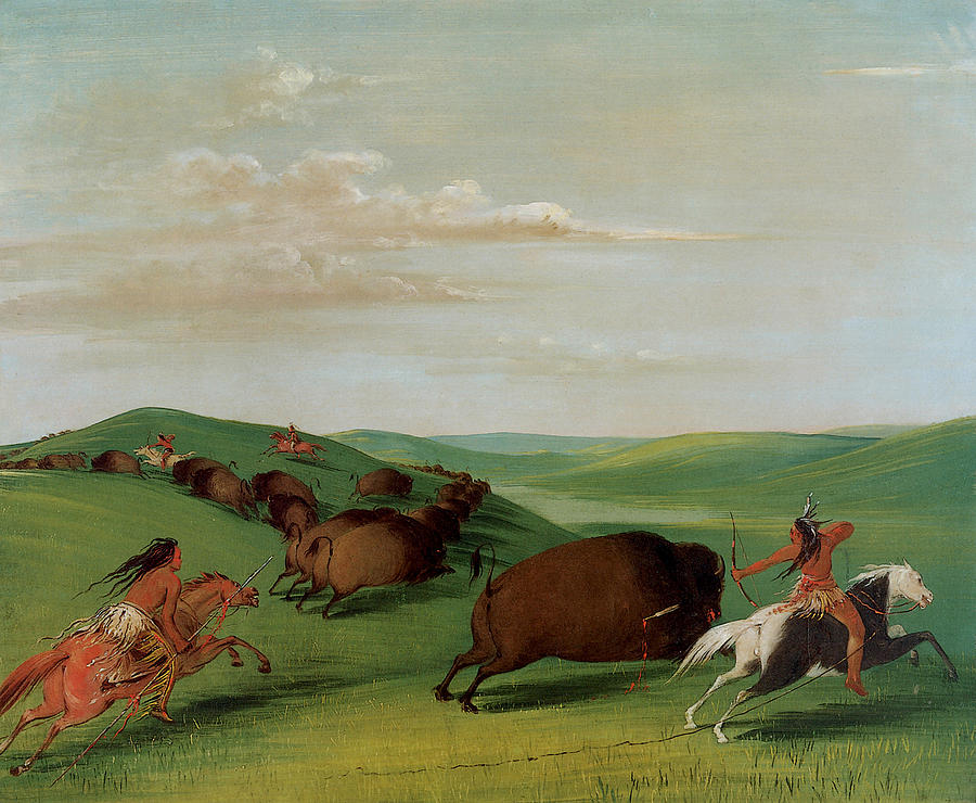 North American Indians Hunting Buffalo by Print Collector